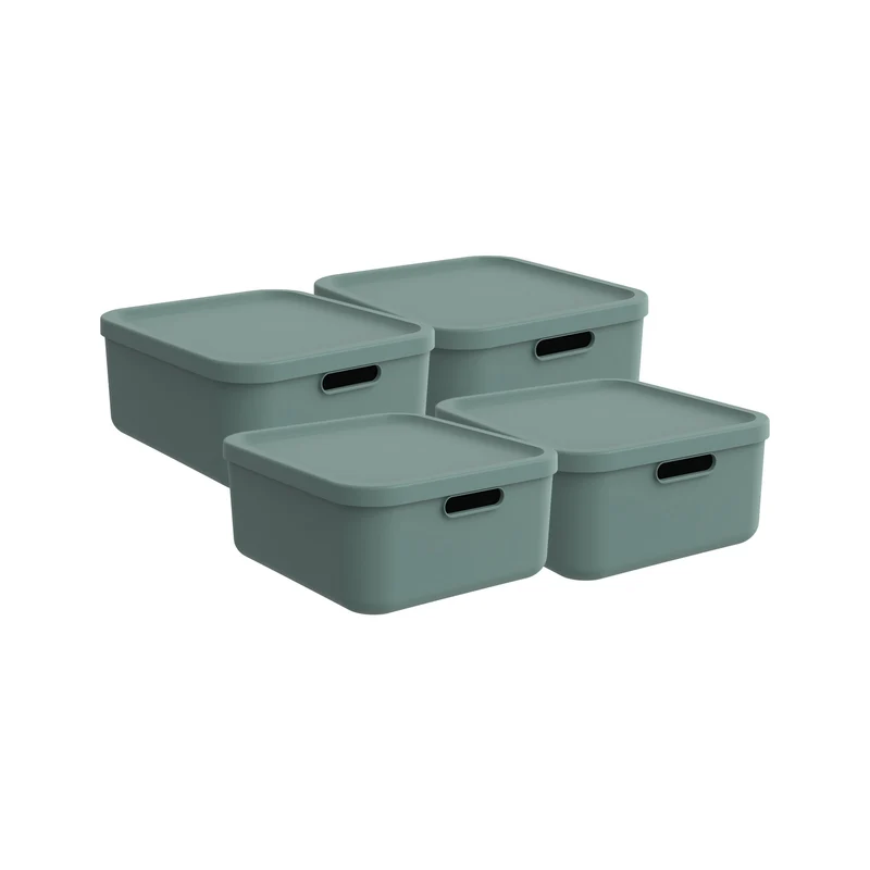 Box 20 l 4er Set ALBULA LIGHT