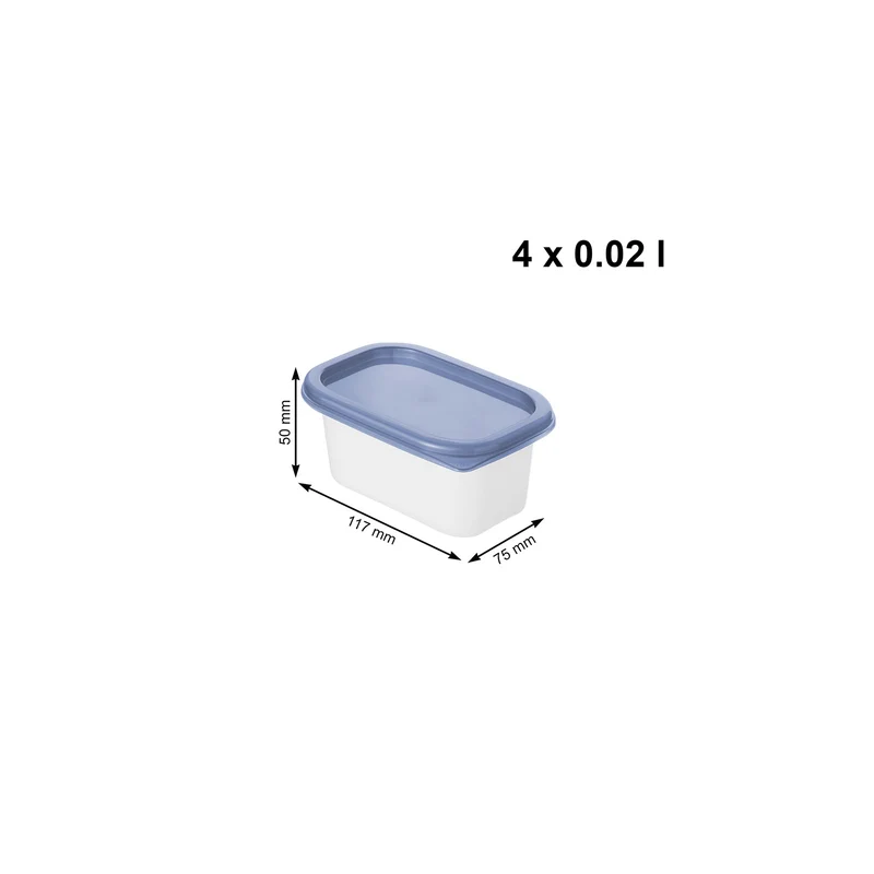 4er Set Gefrierdosen 0,2 l DOMINO