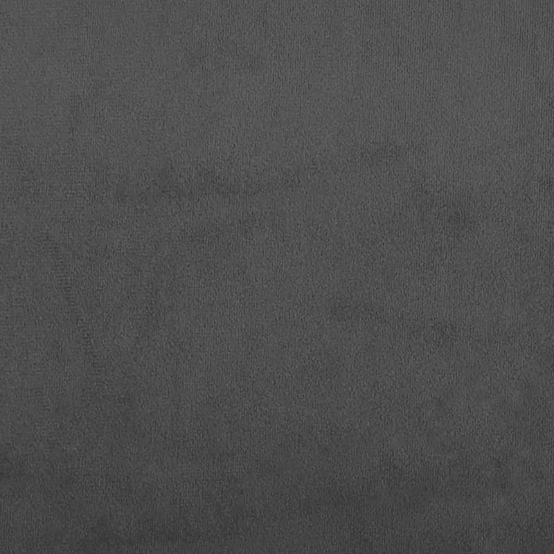 vidaXL Schlafsofa 2-Sitzer Dunkelgrau Samt