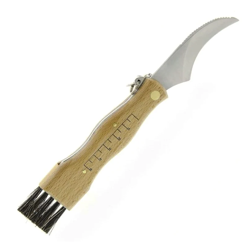 Maserin Coglifunghi Pilzmesser mit Bürste, mit Maßskal, mit Pinzette, mit Federclip, Klappmesser, Made in Italy, AISI 440 Edelstahl, Buche