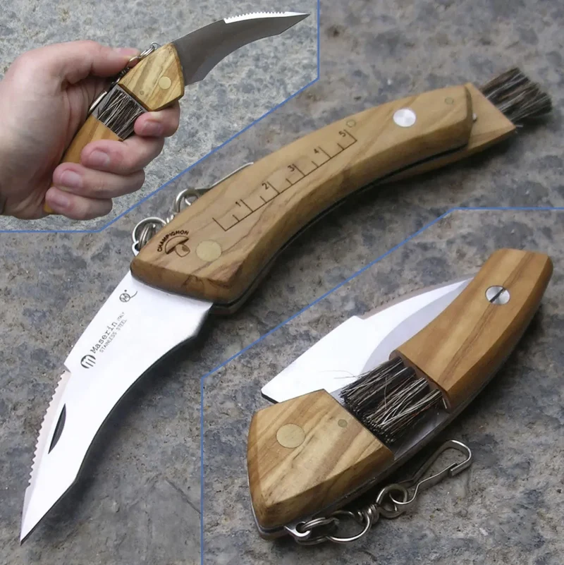 Maserin Pilzmesser – Klappmesser mit Bürste, Olivenholzgriff und Maßskala, Made in Italy