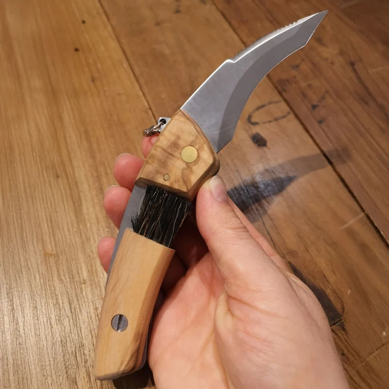 Maserin Pilzmesser – Klappmesser mit Bürste, Olivenholzgriff und Maßskala, Made in Italy