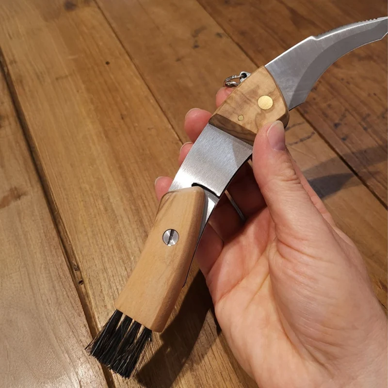Maserin Pilzmesser – Klappmesser mit Bürste, Olivenholzgriff und Maßskala, Made in Italy