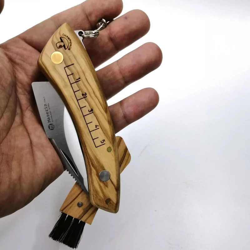 Maserin Pilzmesser – Klappmesser mit Bürste, Olivenholzgriff und Maßskala, Made in Italy