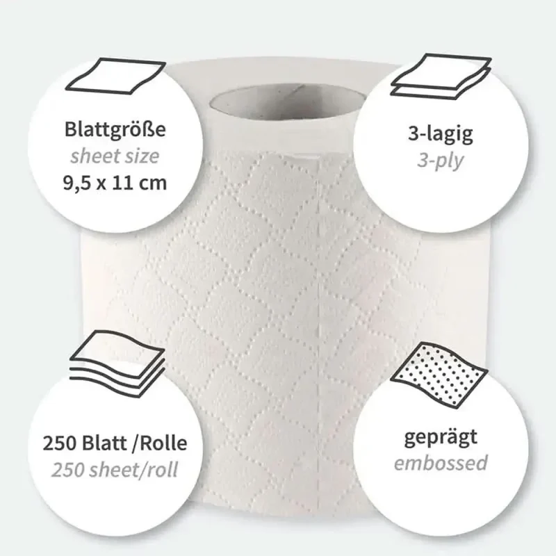 HygoClean Toilettenpapier 3-lagig Kleinrolle 72 Rollen 250 Blatt