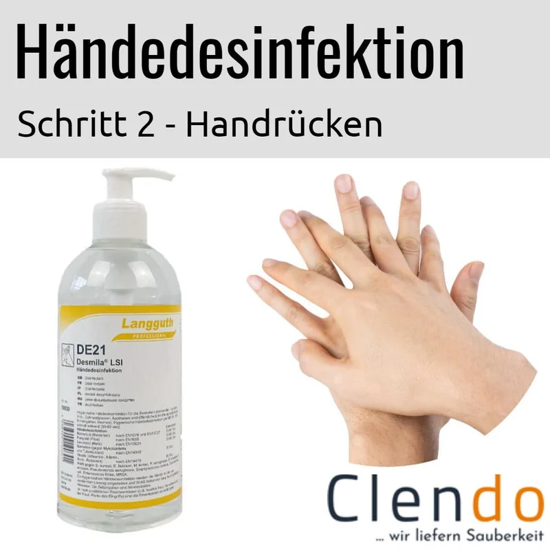 Langguth DE21 Desmila LSI Händedesinfektion 500ml Dosierflasche