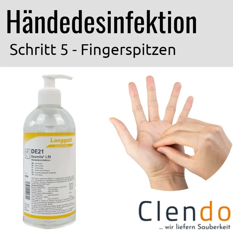 Langguth DE21 Desmila LSI Händedesinfektion 500ml Dosierflasche