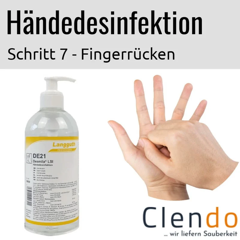 Langguth DE21 Desmila LSI Händedesinfektion 500ml Dosierflasche