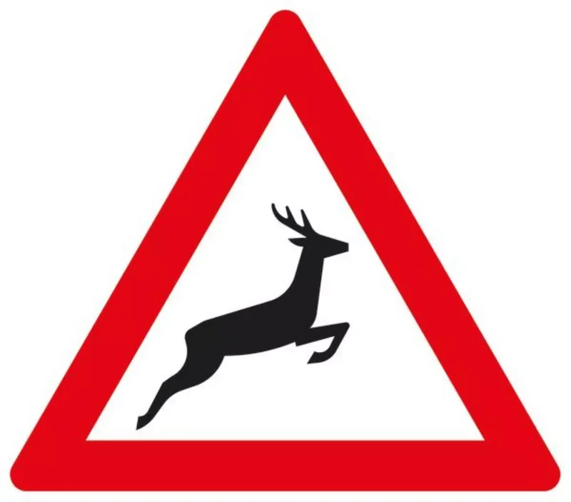 Verkehrszeichen VZ142-20 Wildwechsel, Aufstellung links
