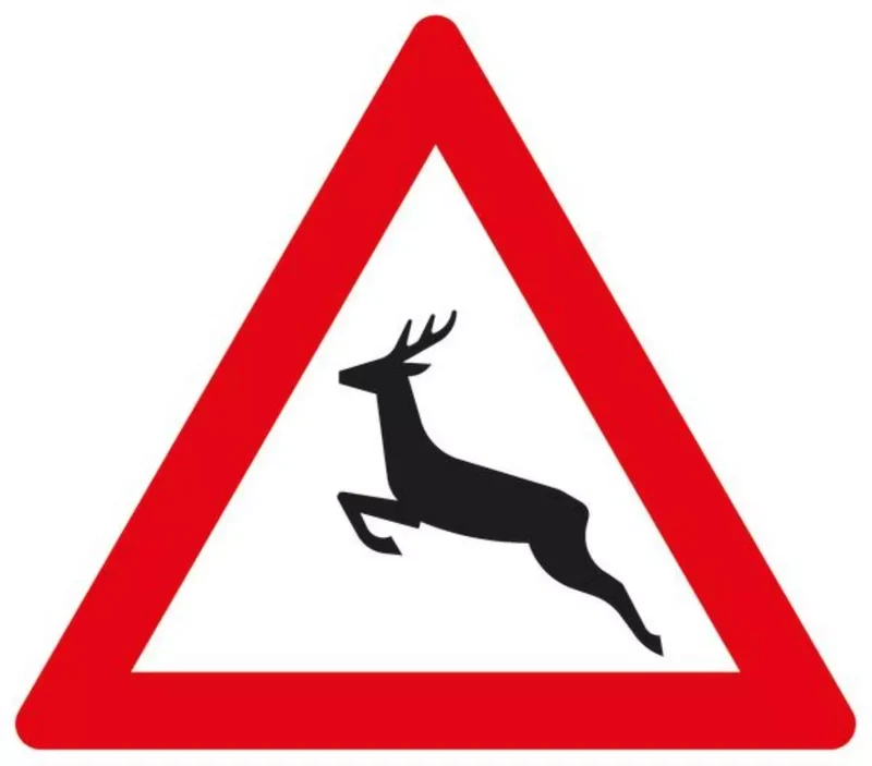 Verkehrszeichen VZ142-10 Wildwechsel, Aufstellung rechts