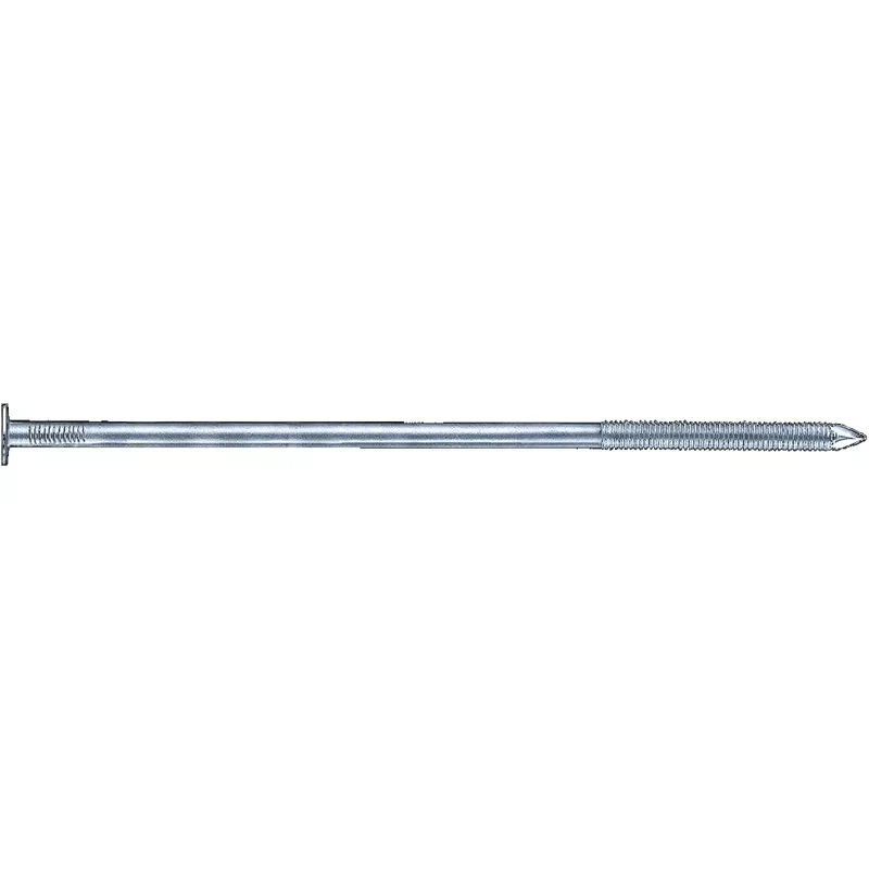 Sparrenagel