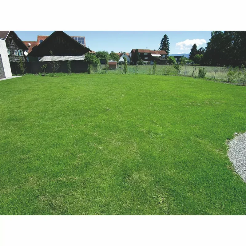 Trockenrasen 24 m² - für vollsonige Standorte