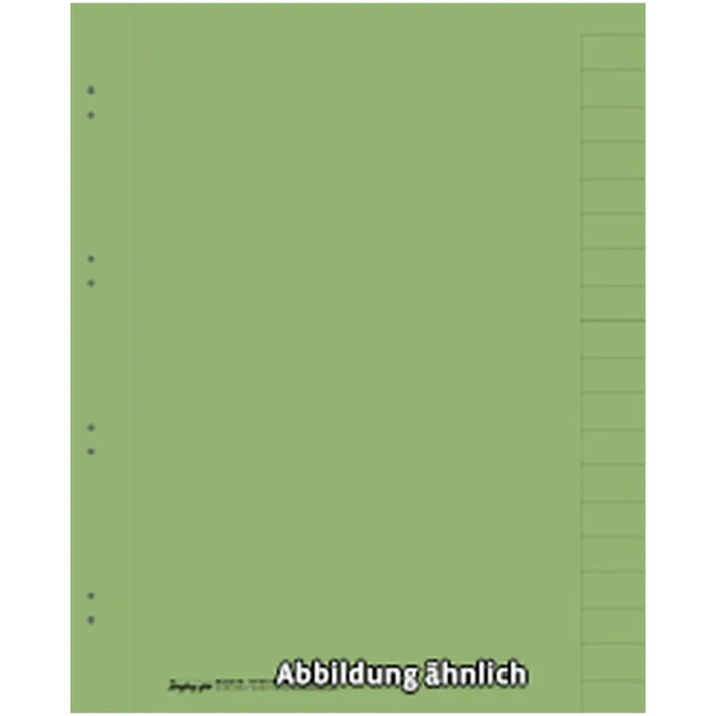 Register, 20-teilig, grün, DIN A4, breiter, Karton
