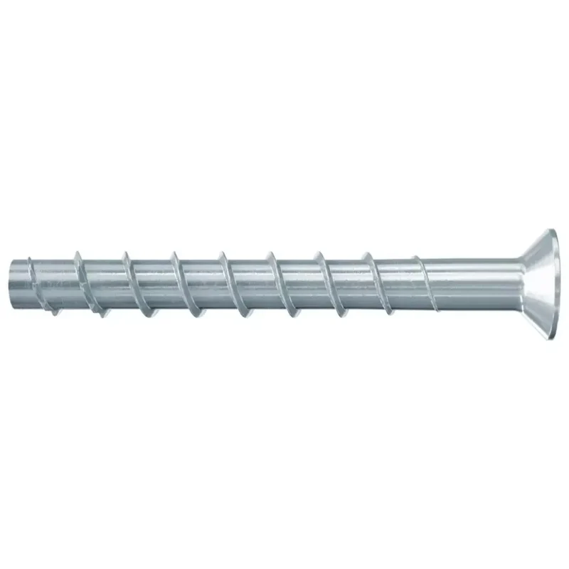fischer FBS II 10x80 SK – VPE 50 St